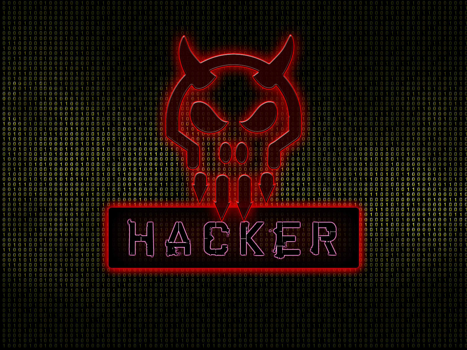 Hacker_Wallpaper_by_DjStyfler.jpg